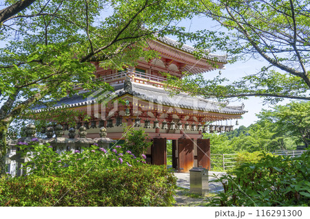壷坂寺 紫陽花と慈眼堂 壷坂寺 紫陽花と慈眼堂 116291300