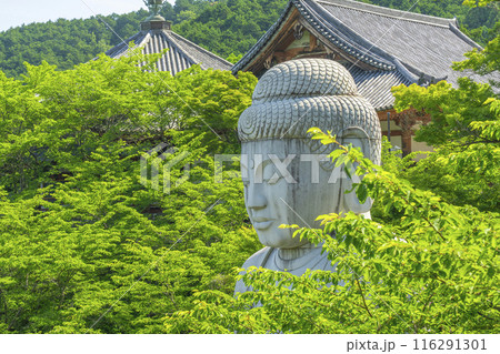 壷坂寺　新緑大仏 116291301