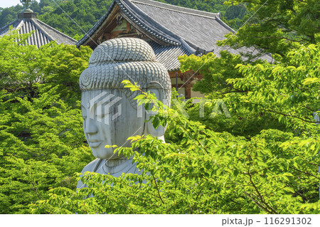 壷坂寺 新緑大仏 壷坂寺 新緑大仏 116291302