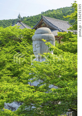 壷坂寺　新緑大仏 116291305