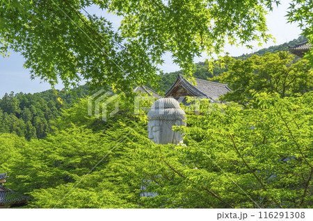 壷坂寺　新緑大仏 116291308
