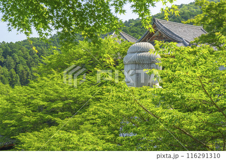 壷坂寺　新緑大仏 116291310