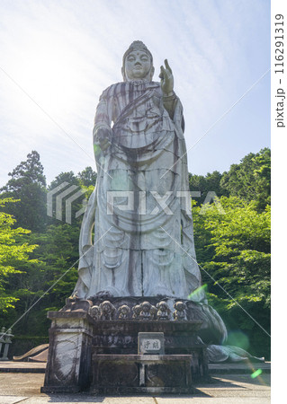 新緑の壷坂寺　天竺渡来大観音石像 116291319