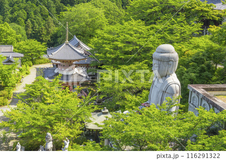 壷坂寺　新緑大仏 116291322