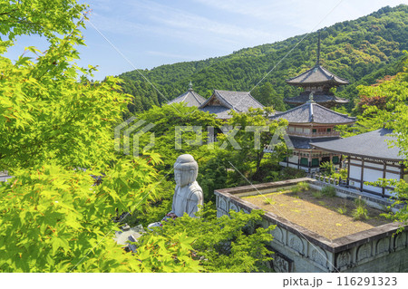 壷坂寺　新緑大仏 116291323