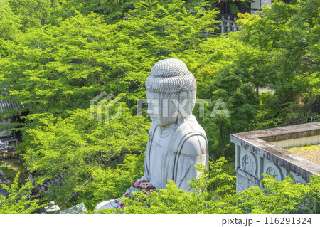 壷坂寺　新緑大仏 116291324