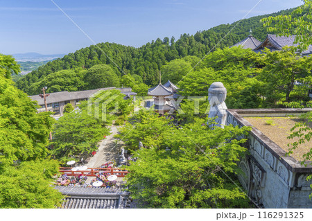 壷坂寺　新緑大仏 116291325
