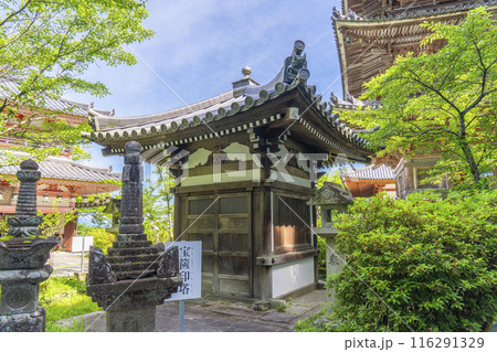 壷坂寺　宝篋印塔と行者堂 116291329