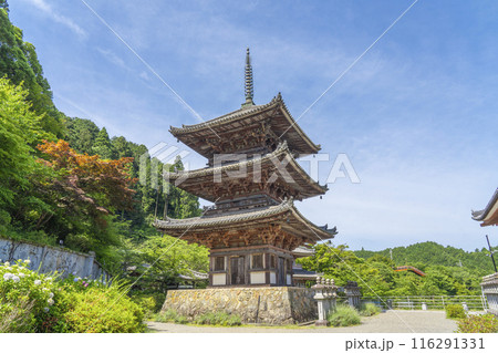 初夏の奈良　壷坂寺　三重塔 116291331