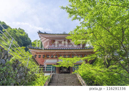 初夏の奈良 壷坂寺 慈眼堂 初夏の奈良 壷坂寺 慈眼堂 116291336