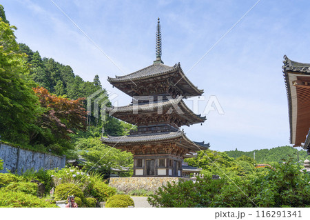 初夏の奈良　壷坂寺　三重塔 116291341