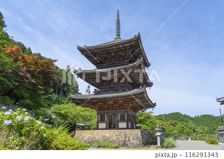 初夏の奈良　壷坂寺　三重塔 116291343