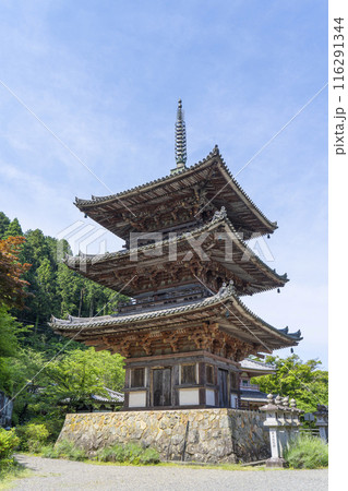 初夏の奈良　壷坂寺　三重塔 116291344