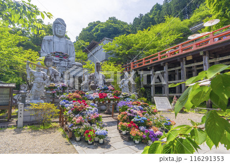 壷阪寺　大釈迦如来石像と紫陽花 116291353