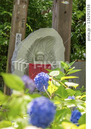 壷阪寺　地蔵手水舎と紫陽花 116291356