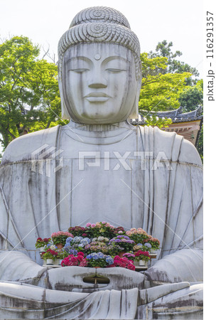 壷阪寺　大釈迦如来石像と紫陽花 116291357