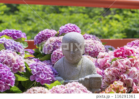 壷阪寺　紫陽花に囲まれた小さな石仏 116291361
