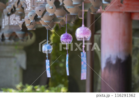 壷阪寺 吊灯籠と紫陽花風鈴 壷阪寺 吊灯籠と紫陽花風鈴 116291362