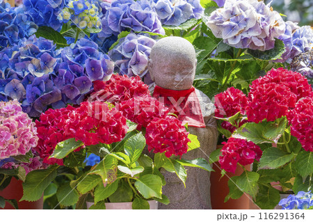 壷阪寺　紫陽花に囲まれた小さな石仏 116291364