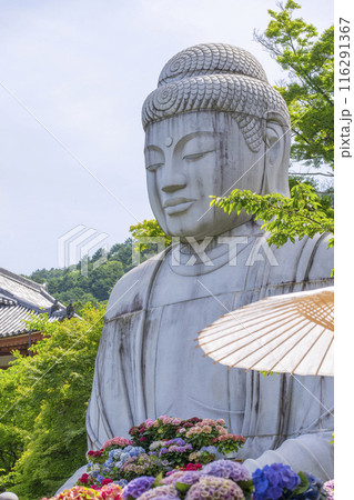 壷阪寺　大釈迦如来石像と紫陽花 116291367
