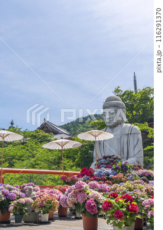 壷阪寺　大釈迦如来石像と紫陽花 116291370