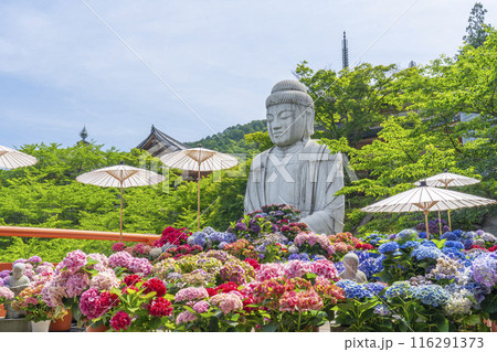 壷阪寺　大釈迦如来石像と紫陽花 116291373