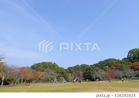 秋の公園で遊ぶ子供たち 秋の公園で遊ぶ子供たち 116291623