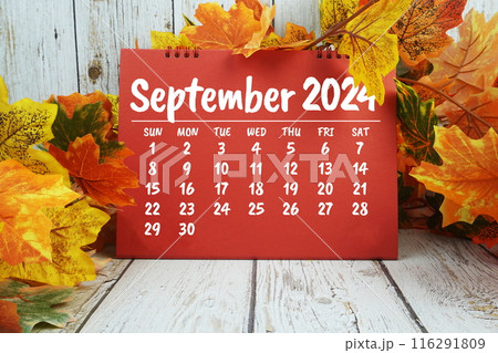 September 2024 monthly calendar with maple leaf decoration on wooden background for planning and management 116291809