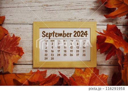 September 2024 monthly calendar maple leaf decoration on wooden background September 2024 monthly calendar maple leaf decoration on wooden background 116291958