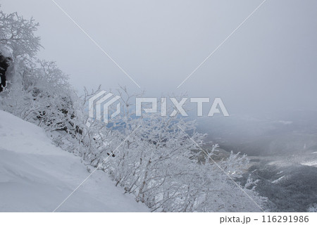 長野県茅野市の厳冬期の東天狗岳の渋ノ湯ルート（東天狗～中山峠）の樹氷と雪景色 116291986