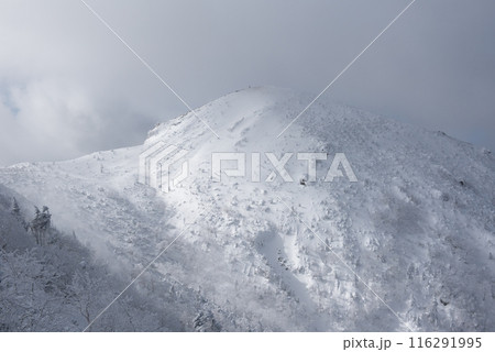 長野県茅野市の厳冬期の東天狗岳の渋ノ湯ルート（東天狗～中山峠）から観える西天狗岳と雪景色 116291995
