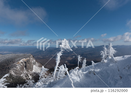 長野県茅野市の厳冬期の東天狗岳の渋ノ湯ルート（東天狗～中山峠）の樹氷と青空と雪景色 116292000