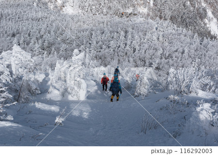 長野県茅野市の厳冬期の東天狗岳の渋ノ湯ルート(東天狗~中山峠)の登山者と雪景色 長野県茅野市の厳冬期の東天狗岳の渋ノ湯ルート(東天狗~中山峠)の登山者と雪景色 116292003