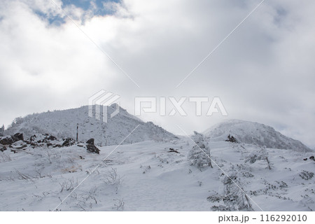 長野県茅野市の厳冬期の東天狗岳の渋ノ湯ルート（東天狗～中山峠）の雪景色 116292010