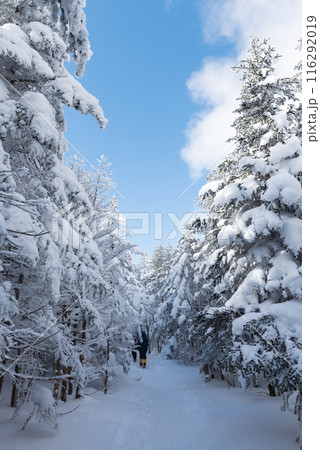 長野県茅野市の厳冬期の東天狗岳の渋ノ湯ルート（東天狗～中山峠）の登山者と雪景色と青空 116292019