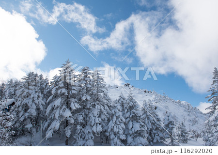 長野県茅野市の厳冬期の東天狗岳の渋ノ湯ルート(東天狗~中山峠)の雪景色と青空 長野県茅野市の厳冬期の東天狗岳の渋ノ湯ルート(東天狗~中山峠)の雪景色と青空 116292020