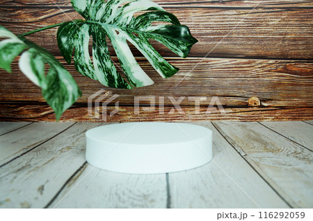 White blank square podium for product display with wooden background White blank square podium for product display with wooden background 116292059