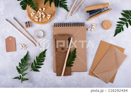 Eco wooden craft stationery. Sustainable life concept 116292484