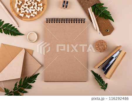 Eco wooden craft stationery. Sustainable life concept 116292486