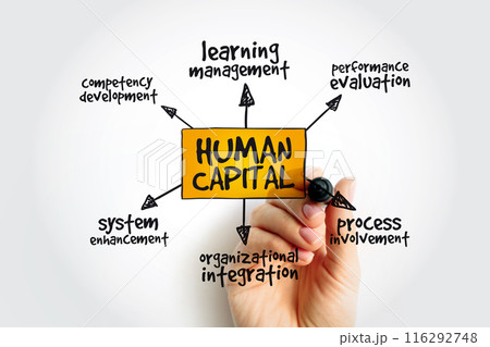 Human capital mind map with marker, business management strategy concept 116292748