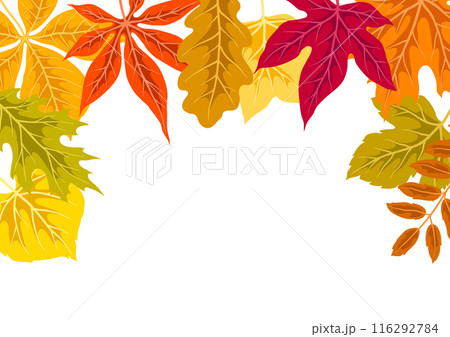 Background with autumn leaves. Illustration with various foliage. 116292784