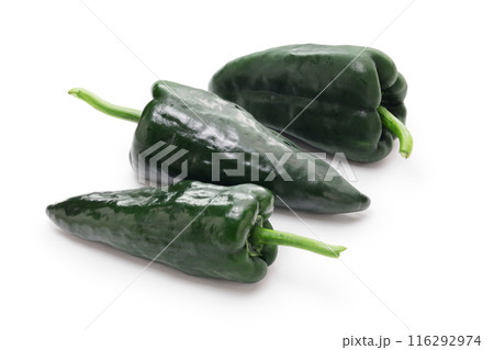 ポブラーノ 116292974