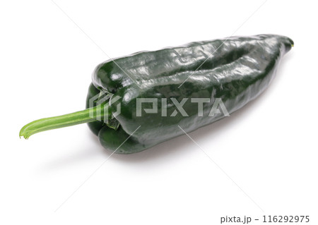 ポブラーノ 116292975