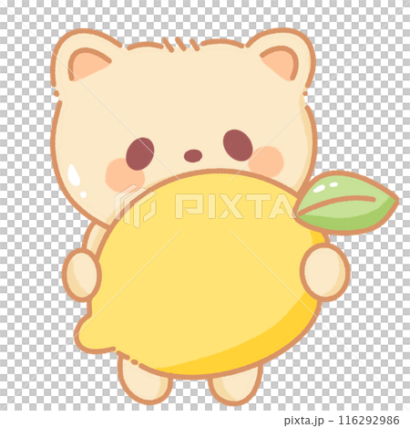 Hand drawn illustration kawaii yellow beige teddy bear holding a big lemon Hand drawn illustration kawaii yellow beige teddy bear holding a big lemon 116292986