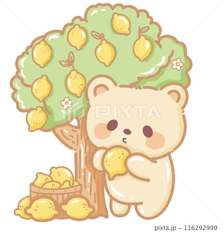 Hand drawn illustration kawaii yellow beige teddy bear picking lemon from a lemon tree Hand drawn illustration kawaii yellow beige teddy bear picking lemon from a lemon tree 116292999