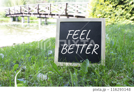 Feel better symbol. Chalk blackboard with words Feel better. Beautiful meadow background. Business and Feel better concept. Copy space. 116293148