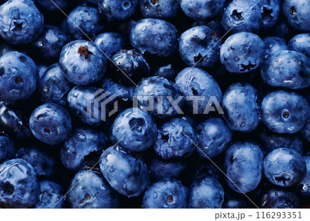 Blueberry berry background. Macro. Fresh blueberry background. Water drops on ripe blueberries. Background from freshly picked blueberries, close-up. Blue berries of blueberry close-up, macro. 116293351