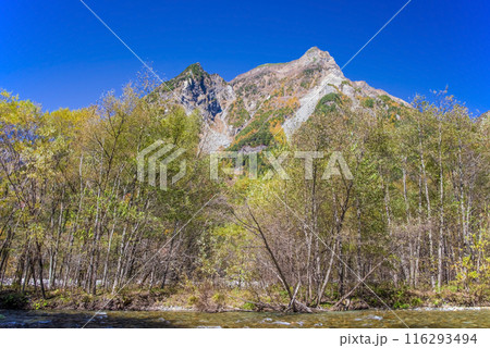 《秋の上高地》梓川左岸道より眺める明神岳 116293494
