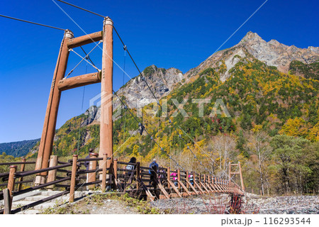 《秋の上高地》紅葉する明神岳と明神橋 116293544
