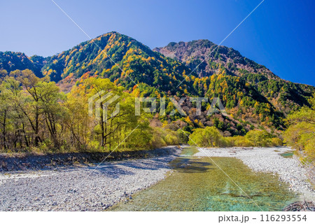《秋の上高地》明神橋周辺の紅葉風景 《秋の上高地》明神橋周辺の紅葉風景 116293554